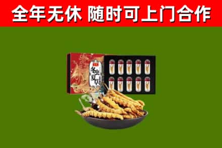 玉树回收冬虫夏草价格